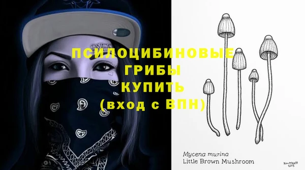 прущая мука Богородск