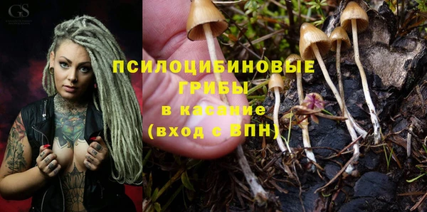 прущая мука Богородск
