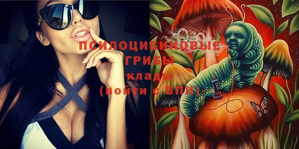 бошки Богданович