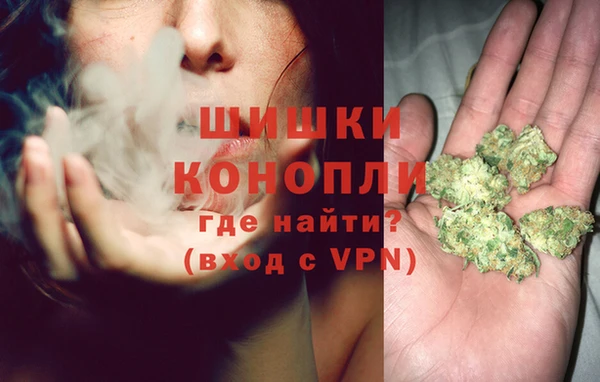 бошки Богданович