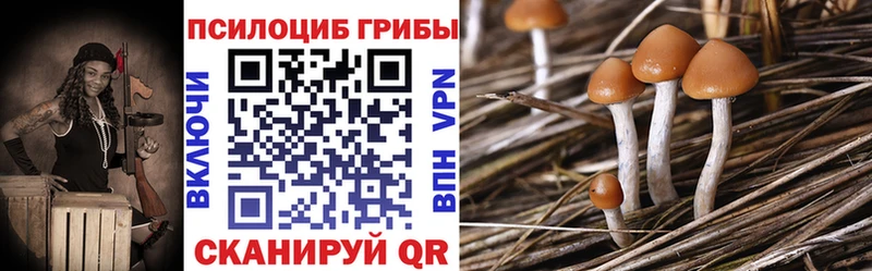 Псилоцибиновые грибы MAGIC MUSHROOMS Котовск